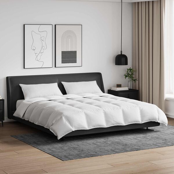 vidaXL Ensemble de Duvet avec oreiller 3 pcs Blanc Plume de canard