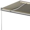 vidaXL Auvent automatique sur pied 600x300 cm Cr&egrave;me