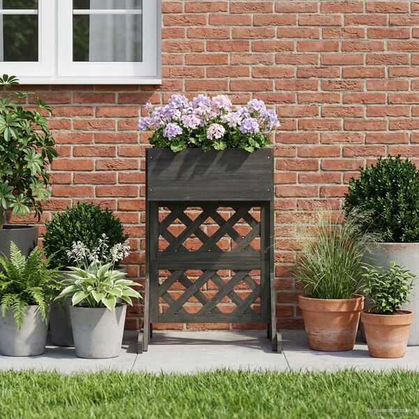 Affichage de l&rsquo;image produit 4 sur 10