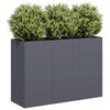 vidaXL Jardini&egrave;re anthracite 120x40x80 cm acier lamin&eacute; &agrave; froid
