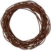 vidaXL Corde en Cuir Marron Clair Ø1,5 mm x 10 m Cuir