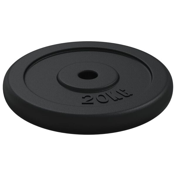 vidaXL Plaque de poids 40 kg Fonte