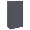 vidaXL Bo&icirc;te de d&eacute;p&ocirc;t de colis Anthracite 44 x 22 x 82 cm Acier