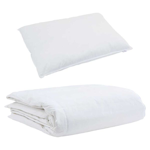 vidaXL Duvet d'été simple avec oreiller 2 pcs Blanc Plume de canard
