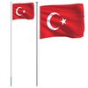vidaXL Drapeau de la Turquie et mât 6,23 m Aluminium