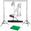 vidaXL Kit de studio photo avec ensemble d'&eacute;clairage et toile de fond
