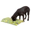 Kerbl Tapis renifleur pour chien 50x30 cm