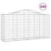 vidaXL Paniers &agrave; gabions arqu&eacute;s 40 pcs 200x50x100/120 cm fer galvanis&eacute;
