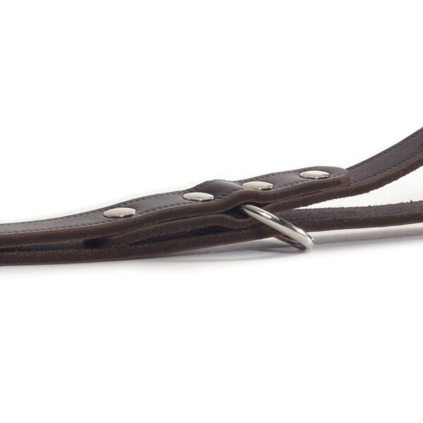 Beeztees Laisse de dressage Cuir Marron 200x1,2 cm 736401