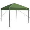 vidaXL Ensemble de Tentes de Camping 2 pcs Vert Taffetas et Tissu