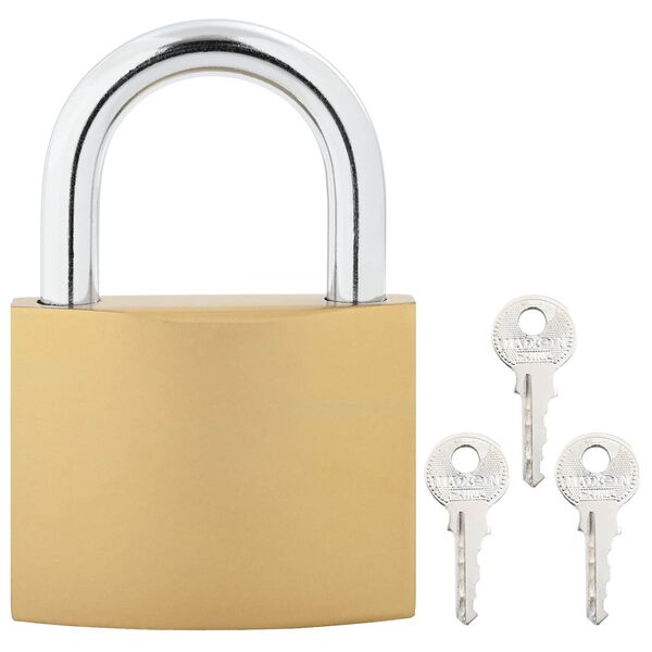 vidaXL U Lock avec Cl&eacute;s 100 pcs Laiton Fer