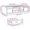 vidaXL Lit de jour avec tiroirs sans matelas chêne fumé 75x190 cm