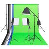 vidaXL Kit d'&eacute;clairage studio photo avec toiles de fond et r&eacute;flecteur