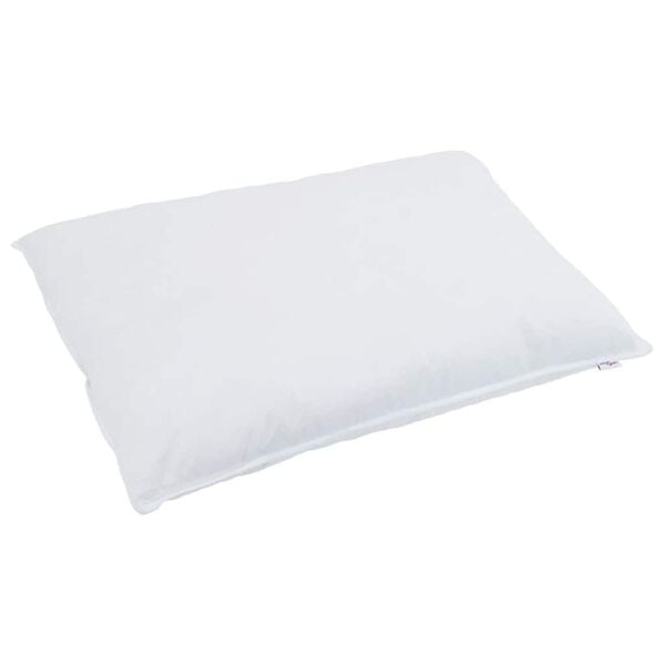 vidaXL Duvet d'hiver avec oreiller 2 pcs Blanc Plume de canard