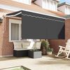 vidaXL Auvent R&eacute;tractable Anthracite 300 x 200 cm