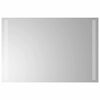 vidaXL Miroir de salle de bain &agrave; LED 60x40 cm