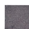vidaXL Polaires de peintre antid&eacute;rapantes 2 pcs 5 m 180 g/m&sup2; gris