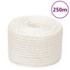 vidaXL Corde de travail Blanc 10 mm 250 m polypropyl&egrave;ne