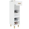 vidaXL Armoire &agrave; chaussure Blanc brillant 30x35x105 cm Bois ing&eacute;nierie