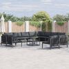 vidaXL Ensemble de canap&eacute; de jardin avec coussin 12 pcs Noir Acier