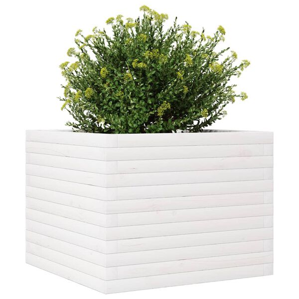 vidaXL Jardini&egrave;re blanc 60x60x46 cm bois de pin massif