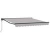 vidaXL Cadre d'auvent Gris clair 300 x 250 cm