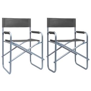 vidaXL Chaises de metteur en sc&egrave;ne lot de 2 Acier Gris