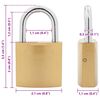 vidaXL U Lock avec Cl&eacute;s 2 pcs Laiton Fer