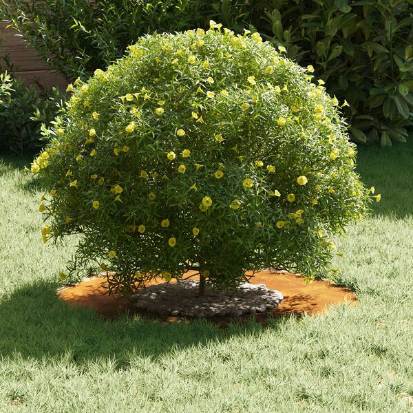 vidaXL adapté pour anneau d'arbre plat Marron Ø30 / 60 cm