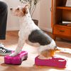 FitPAWS Plate-forme d'&eacute;quilibre pour animaux de compagnie 2 pcs