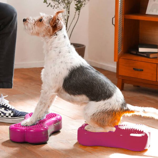 FitPAWS Plate-forme d'&eacute;quilibre pour animaux de compagnie 2 pcs
