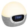 Lumie Lampe de r&eacute;veil Bodyclock Shine 300 Blanc et gris