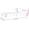 vidaXL Canap&eacute;-lit 2 places noir velours