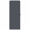 vidaXL Armoire de rangement Anthracite 80 x 40 x 105 cm Acier