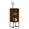vidaXL Armoire lat&eacute;rale avec porte en verre ch&ecirc;ne fum&eacute; 35x37x100 cm