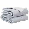 vidaXL Duvet complet toute l'ann&eacute;e 135 x 220 cm 300 gsm Argent&eacute;