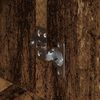 Vignette du produit 9 sur 12