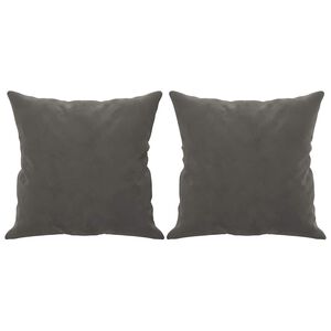 vidaXL Coussins d&eacute;coratifs lot de 2 Gris fonc&eacute; 40x40 cm Velours