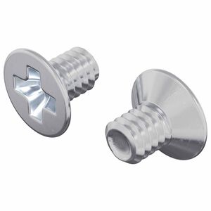 vidaXL Vis &agrave; t&ecirc;te frais&eacute;e 2 pcs Argent&eacute; M4 x 6 mm Acier