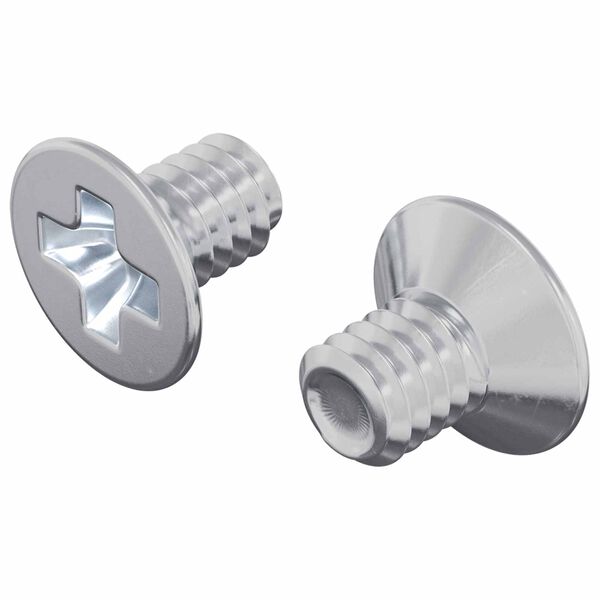 vidaXL Vis &agrave; t&ecirc;te frais&eacute;e 2 pcs Argent&eacute; M4 x 6 mm Acier