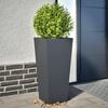 Vignette du produit 2 sur 12