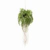 Emerald Foug&egrave;re artificielle suspendue avec racines 35 cm