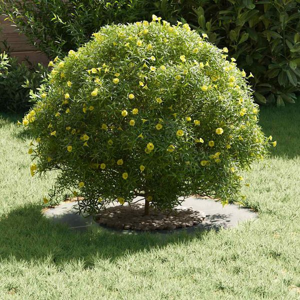 vidaXL adapté pour anneaux d'arbre plats 5 pcs Argent Ø30 / 60 cm