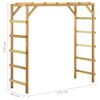 vidaXL Support d'escalade d'ext&eacute;rieur 170x60x170 cm Bois de pin massif