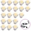 vidaXL Lampes de sol à LED 20 pcs blanc chaud
