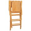 vidaXL Chaises pliantes, lot de 4, 55 x 61 x 90 cm, en bois de teck massif