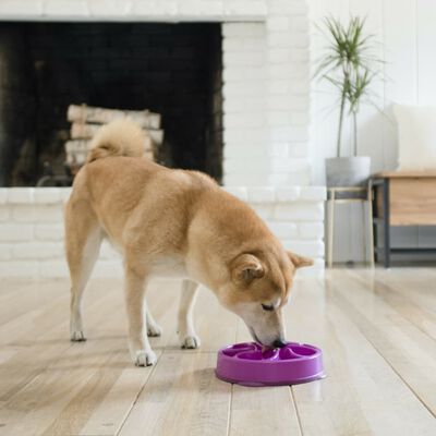 Outward Hound Mini mangeoire lente pour chiens Slo Bowl Violet