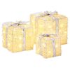 vidaXL Bo&icirc;te-cadeau de No&euml;l &eacute;clair&eacute;e 3 pc 64 LED Blanc chaud