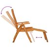 vidaXL Chaises de jardin pliables repose-pieds lot de 2 Eucalyptus