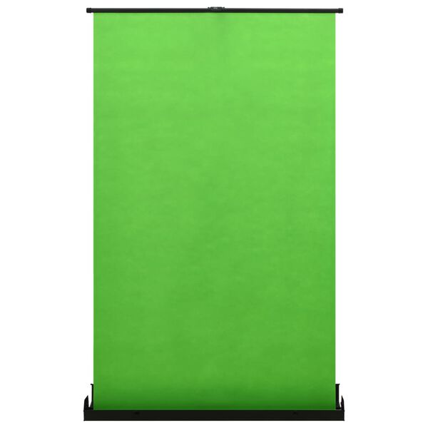 vidaXL Toile de fond de photographie Vert 95" 4:3
